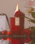Love Potion (Rhubarb + Peach + Plum) Candle