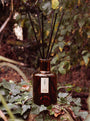 Eden (Clary Sage + Geranium + Lavender + Neroli) Reed Diffuser