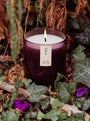 Eden (Clary Sage + Geranium + Lavender + Neroli) Candle